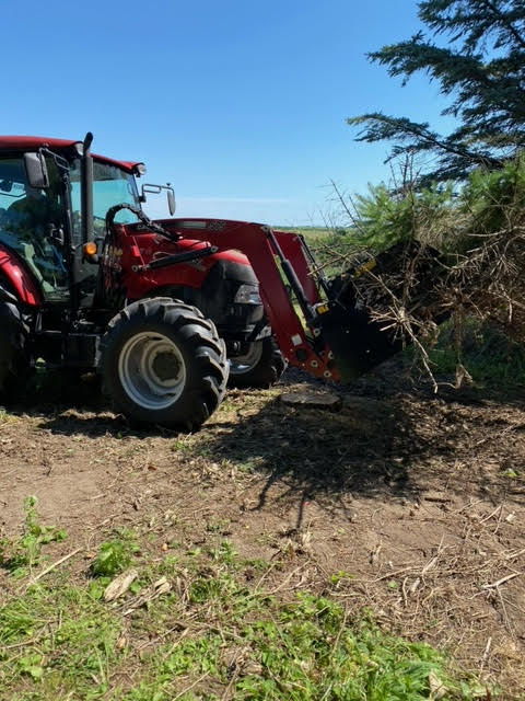 Stinger Attachments Rock Grapples Straight Tine (ROG)